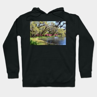 Beauty By The Pond Hoodie